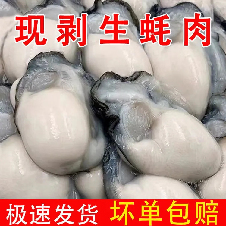 连云港发货 新鲜现剥原浆生蚝肉海蛎子烧烤煲汤 250克/盒