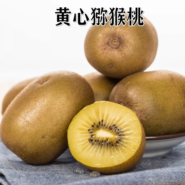 新品种特大黄金奇异果猕猴桃树苗黄心嫁接鸭嘴猕猴桃苗南北方种植