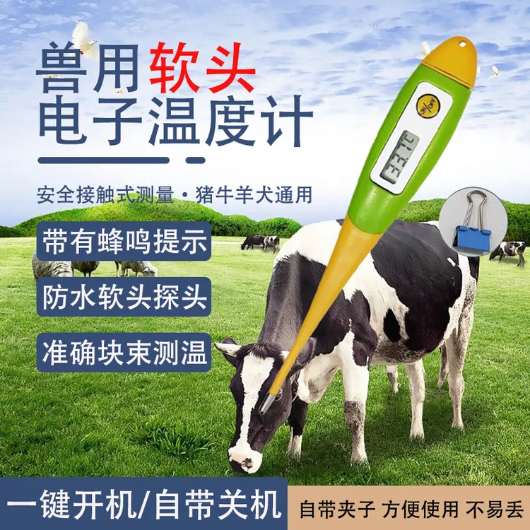 兽用电子温度计猪牛羊畜禽通用