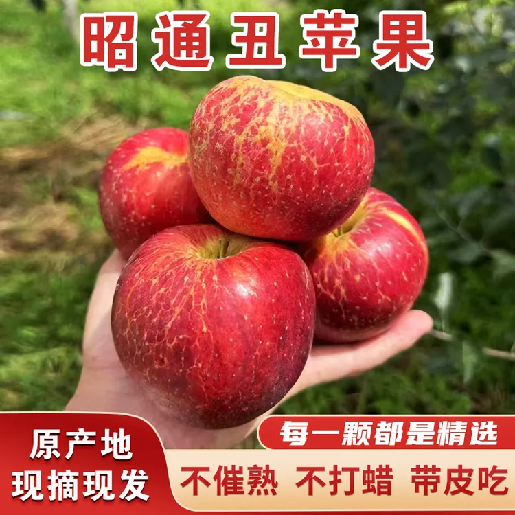 云南昭通甜蜜苹果新鲜水果现摘现发冰糖心丑苹果3斤5斤10斤