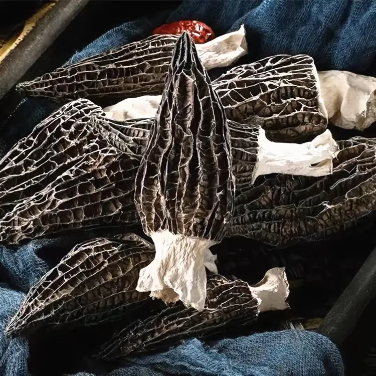 川西高原羊肚菌干货头茬肉质肥厚炖鸡煲汤 顺丰包邮