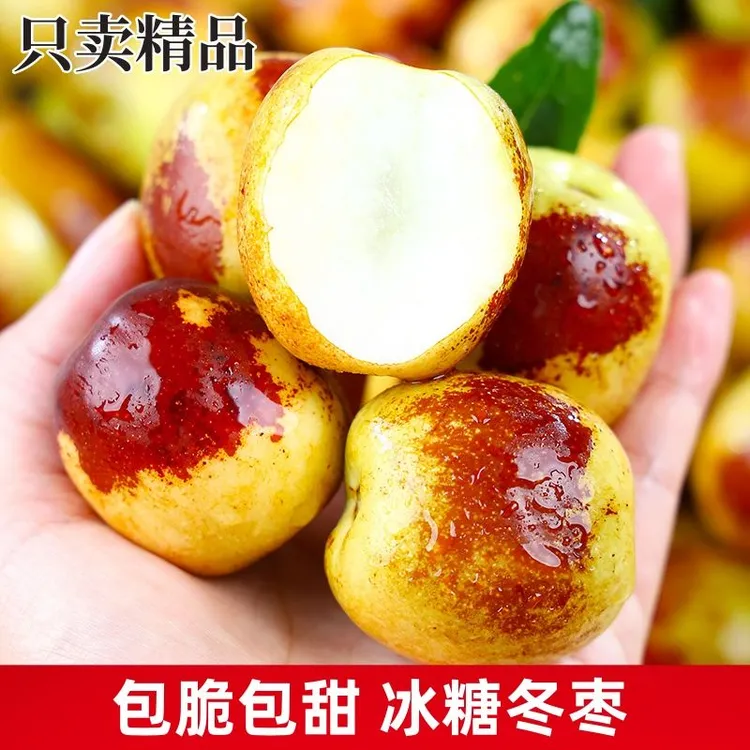 山东沾化正宗现摘冬枣超脆甜应季甜枣脆嫩爽口新鲜水果大枣子整箱