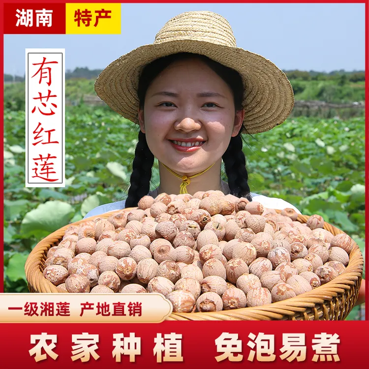 【带芯红莲子500g】 湖南湘潭农家湘莲子营养干货十成熟红皮煮粥