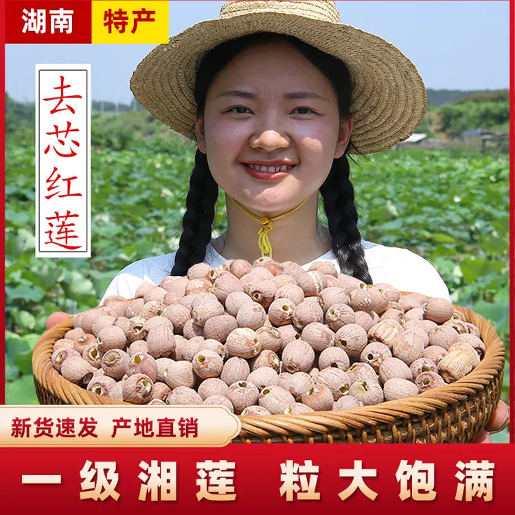 【去心红莲子500g】湖南湘潭农家成熟红莲子原生态营养湘莲子特产