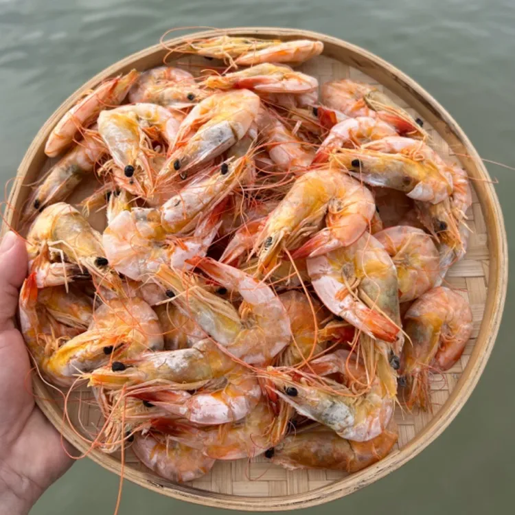 广东汕尾马宫渔民自晒白刺虾脯 野生海虾干 海白刺虾脯