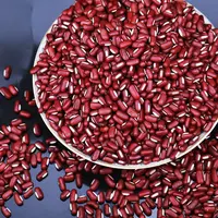 贵州山区赤小豆农家原生态自产五谷杂粮小赤豆非红豆新货