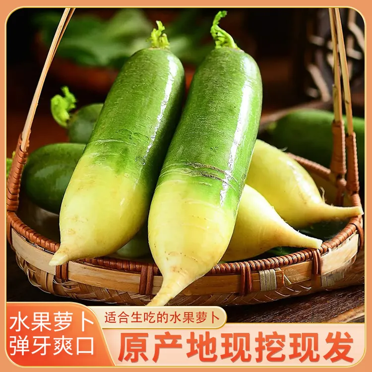 正宗水果萝卜生吃脆甜多汁保温包装生鲜特产萝卜清脆新鲜口感可口