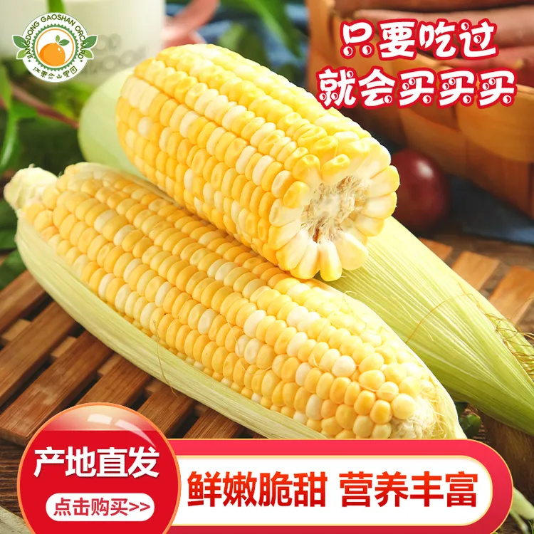云南新鲜水果味道甜玉米脆嫩多汁颗粒饱满榨汁香甜美味苞米5/9斤