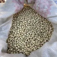 【张大庆专属】农产品黄豆五斤装