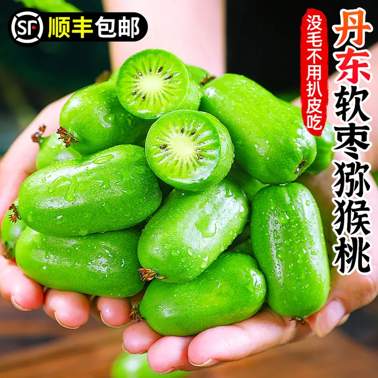 【顺丰包邮 | 放软食用】丹东软枣猕猴桃1-3斤奇异果圆枣子香甜水果