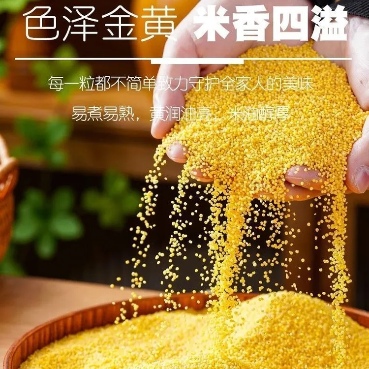 【沂蒙山农家小米】优质黄小米新鲜农家宝宝月子米新米米油送礼佳品
