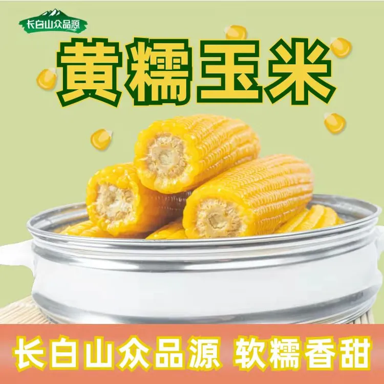 东北黑土地黄糯玉米262品种240g*10根农家代餐水果玉米
