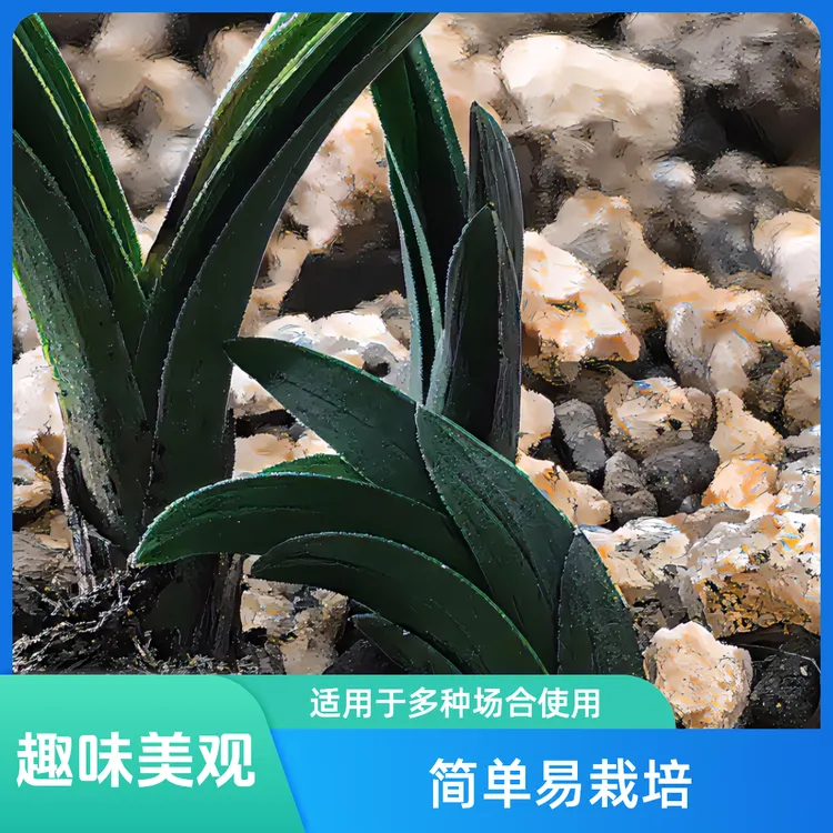 春兰、慧兰、艺草艺花