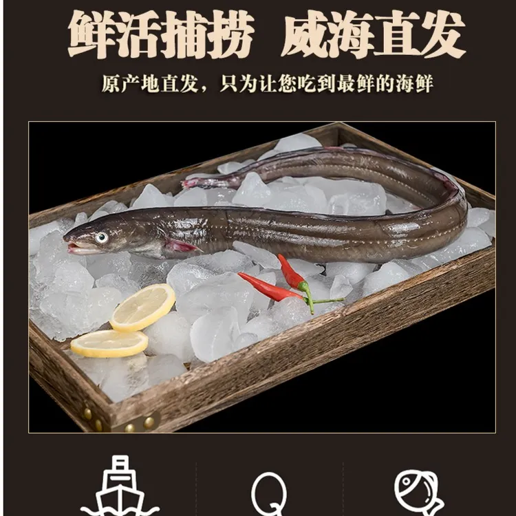 速冻野生海捕星鳗鱼去肚，威海新鲜肉质发货净重1份深海鲜嫩捕捞
