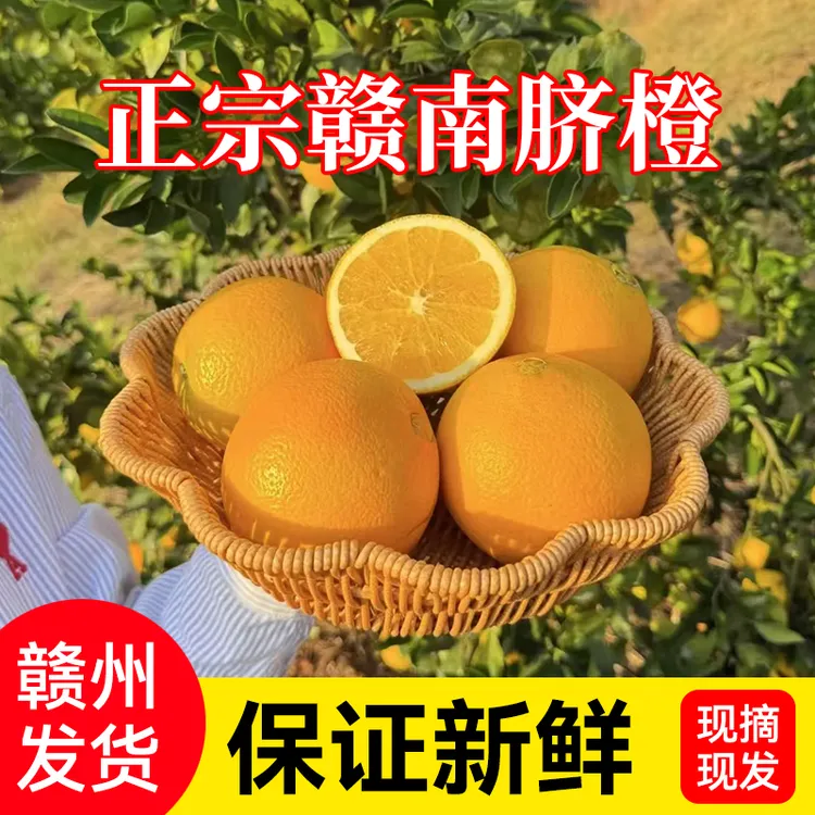 【产地直发】正宗赣南脐橙江西甜橙整箱赣州橙子大果新鲜水果批发