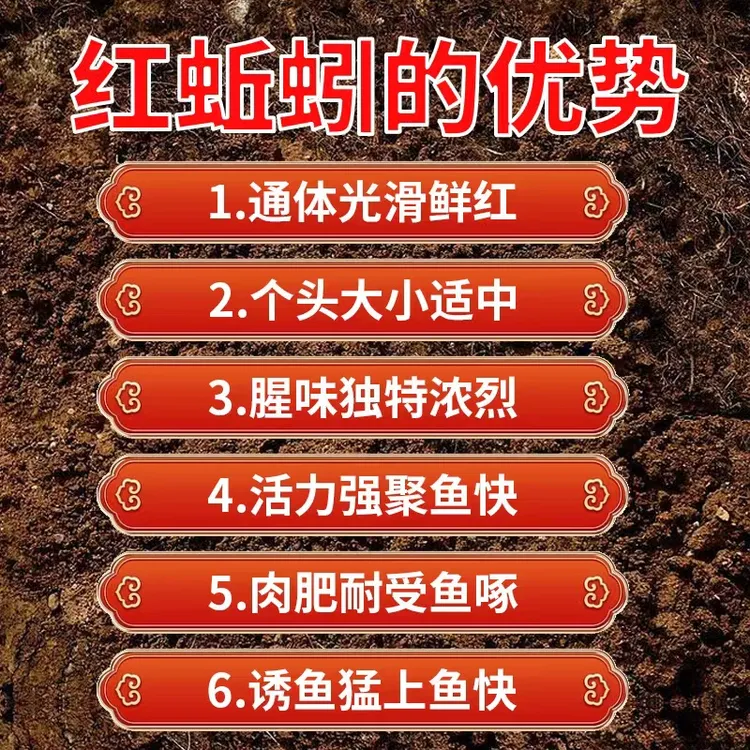 {基地推荐}一斤散装红蚯蚓活饵保活垂钓鱼饵鱼类通用黑坑鱼料打窝