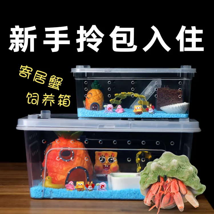【新奇宠物】寄居蟹新手套餐饲养箱盒饲养用品套装寄居蟹饲养箱造景