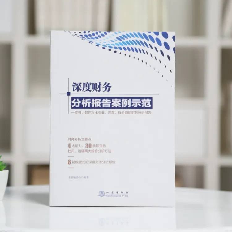 07深度财务分析报告案例示范+word《9份财务分析报告示例》