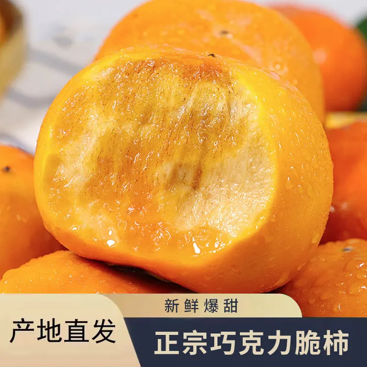 【脆柿】2025年新鲜采摘阳丰冰糖心巧克力脆柿好吃很