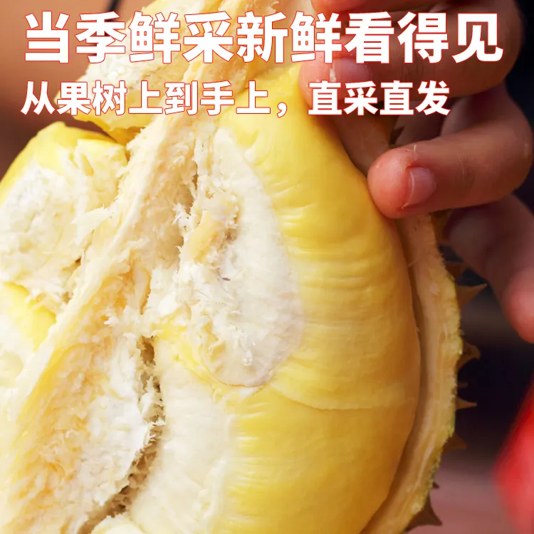 当季正宗金枕榴莲皮薄肉厚浓郁饱满优质精选细腻