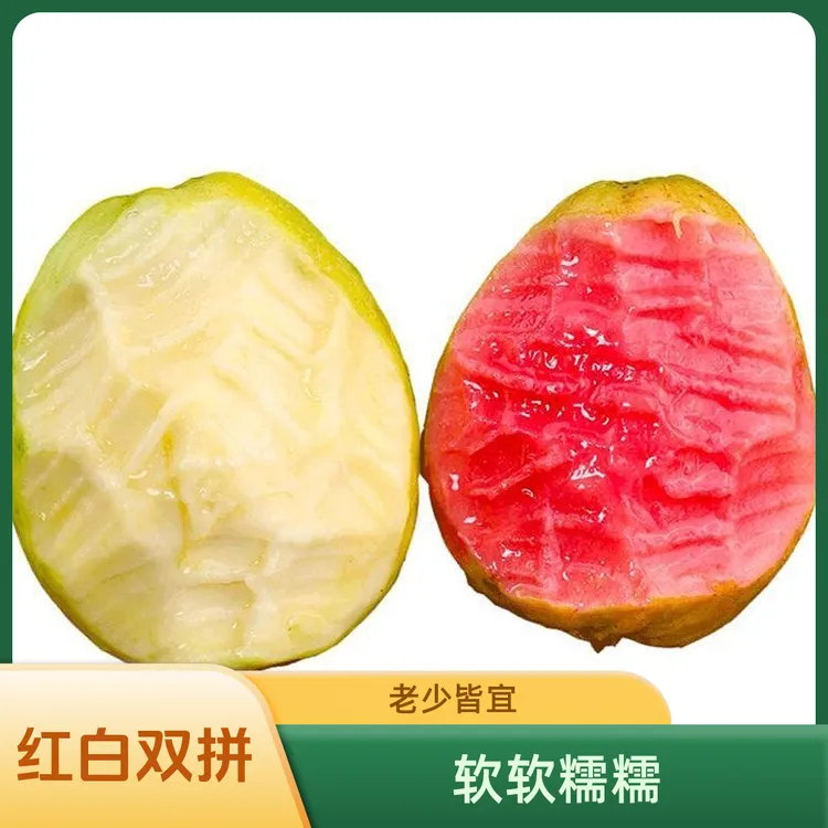 广西玉林黄金奶油老树现摘冰淇淋红白心芭乐双拼软心软糯香甜老树