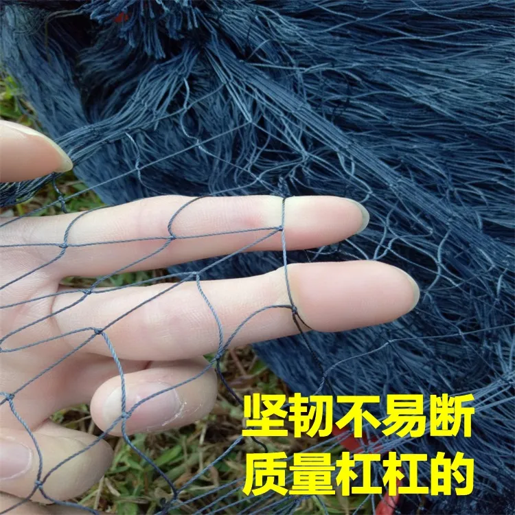 户外尼龙网防长虫网强拉力防蛇网拦蛇网新型栏鸡网加粗地网加长网