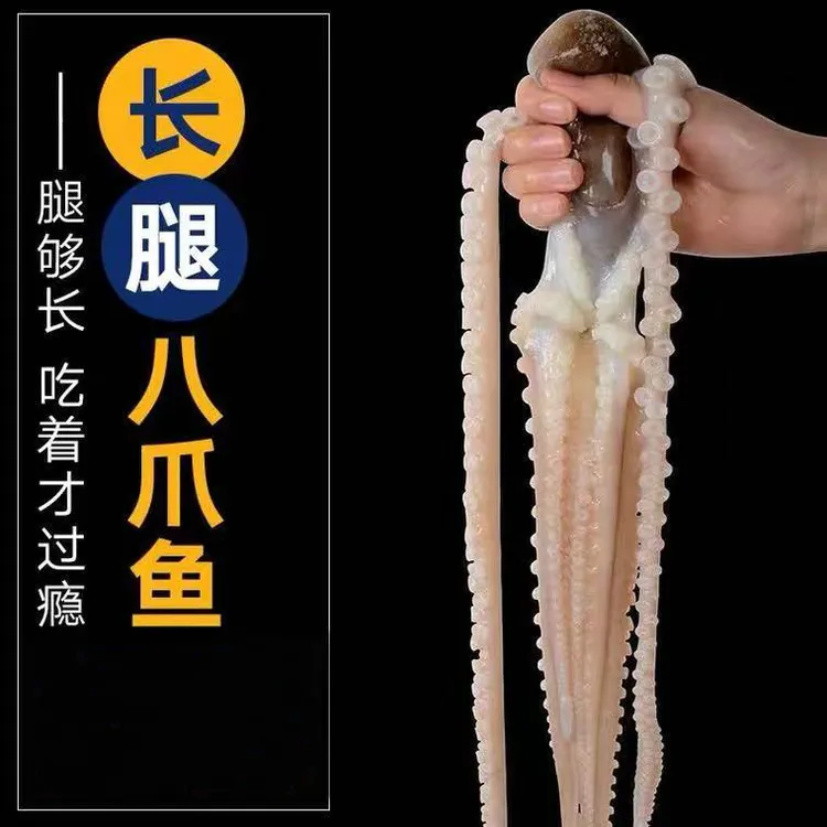 连云港发货鲜活速冻长腿八爪鱼2斤/4斤新鲜香辣深海美味锁鲜鲜美