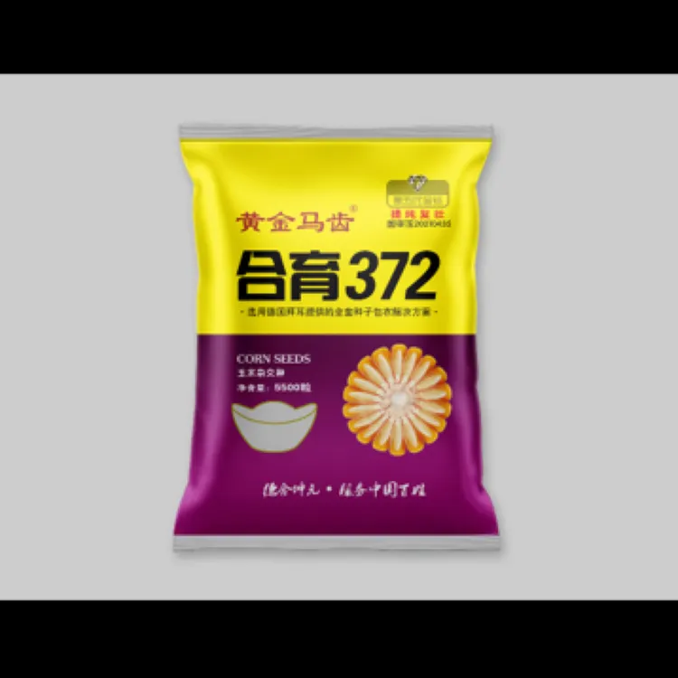 德合坤元高产牧场大户青贮种植高产玉米合育 372粮饲兼用