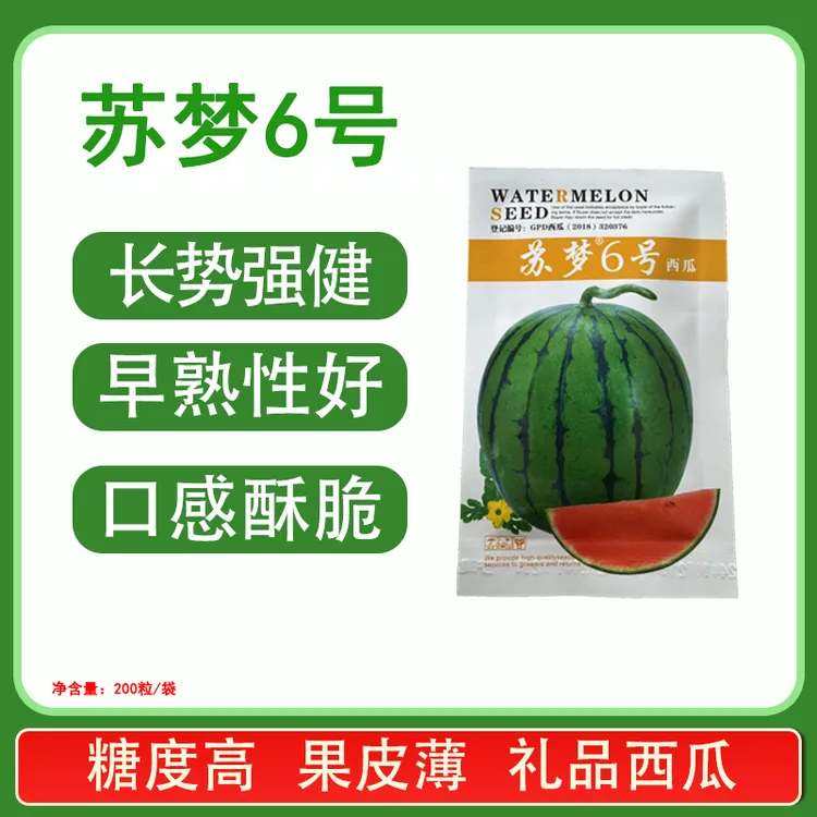 苏梦6号礼品小西瓜口感酥脆绿皮红壤西瓜种子（新老包装随机发货）