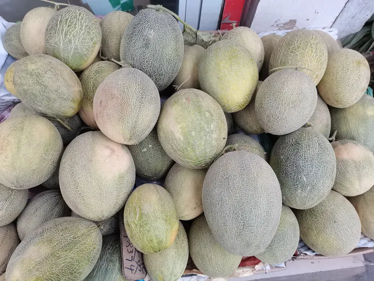 新疆特产哈密瓜全国发货