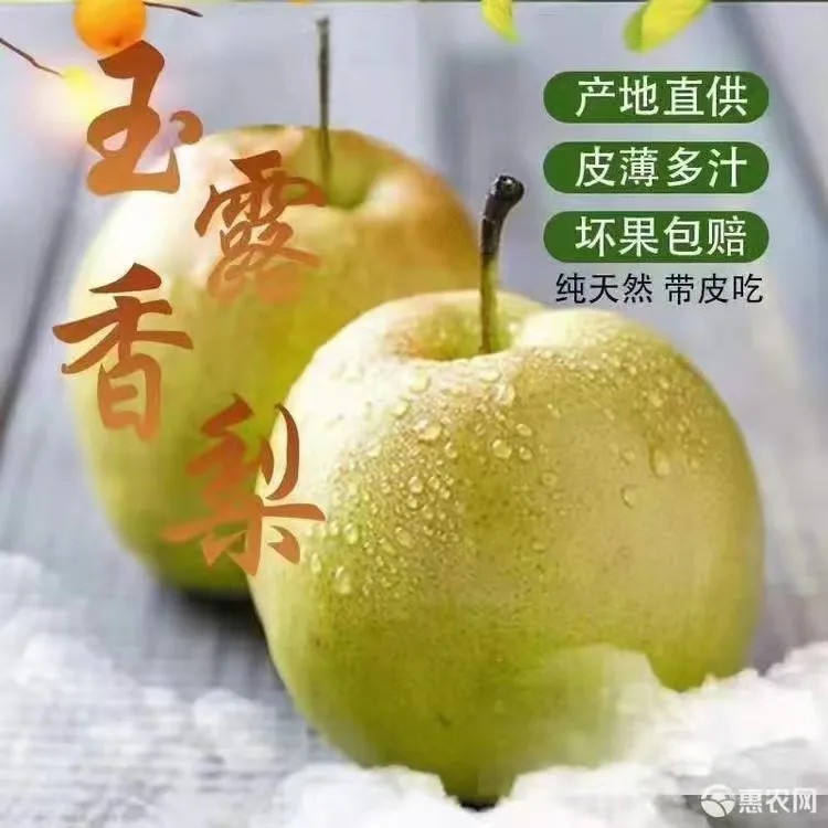 平谷玉露香梨（12个装）