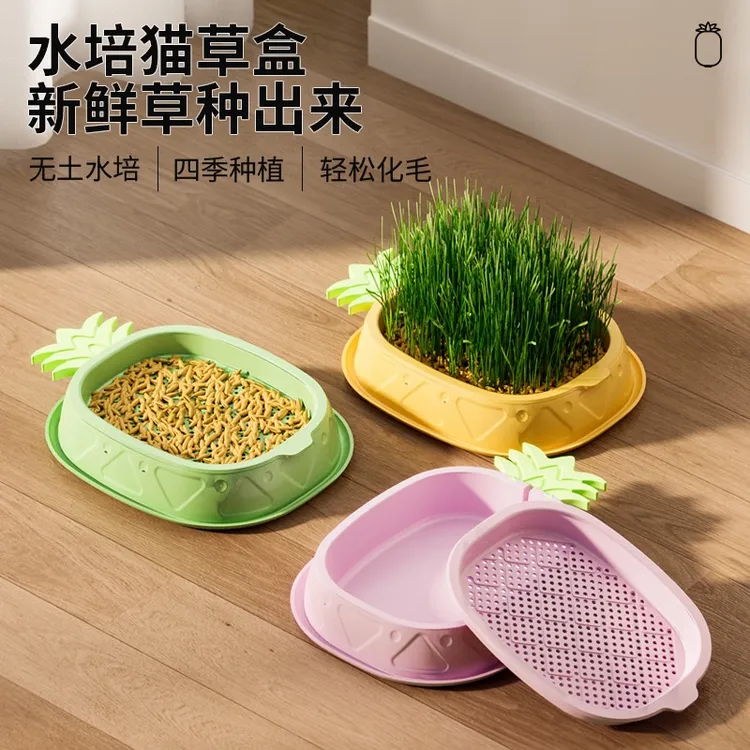 平替好物【水培】化毛球新鲜健康营养宠物排毛猫咪排毛产品