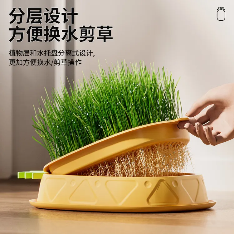 【平替好物】精选化毛球新鲜营养猫草排毛猫咪猫草宠物猫咪排毛产品