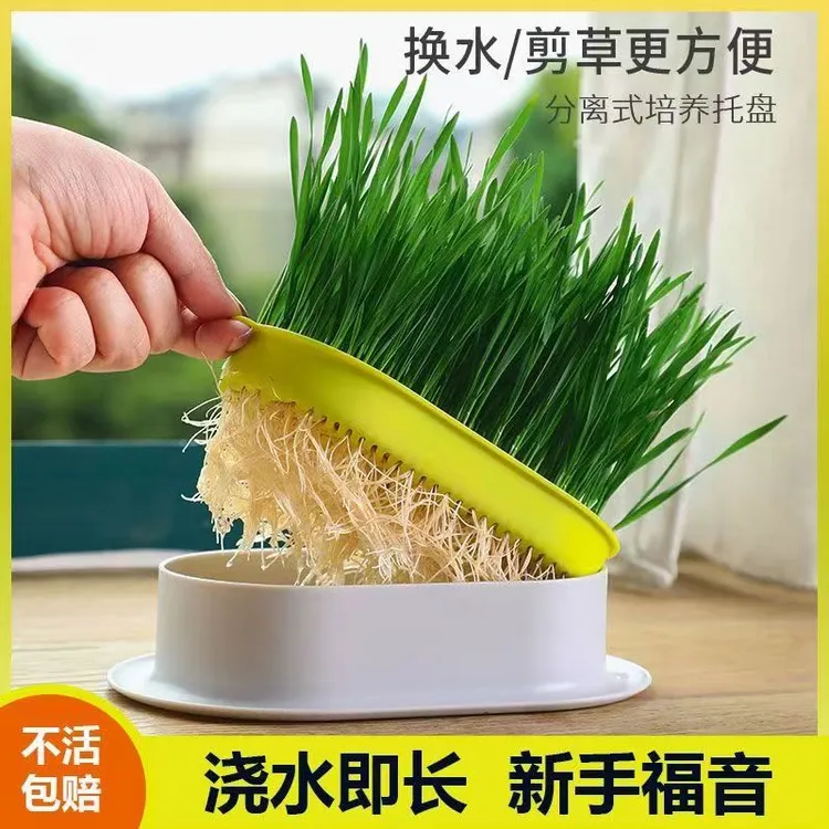 平替好物猫优选培精选毛球调理清洁排毛猫咪猫草宠物猫咪排毛产品
