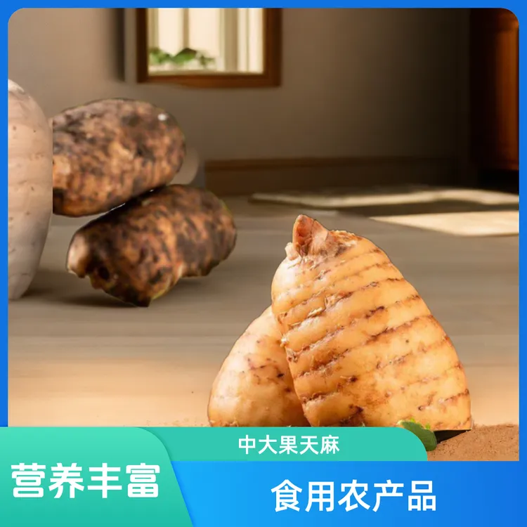 带泥发货云南原生态炖鸡营养昭通小草坝天麻新鲜天麻正宗仿野天麻