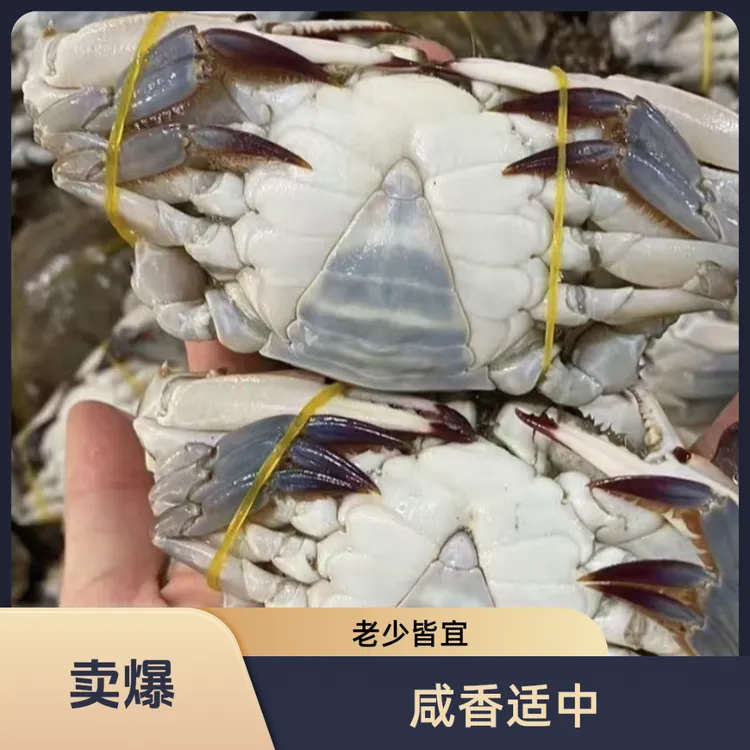 【活动商品】【冻蟹】寿光羊口生吃咸蟹子三角母蟹一斤5-6只2两左右