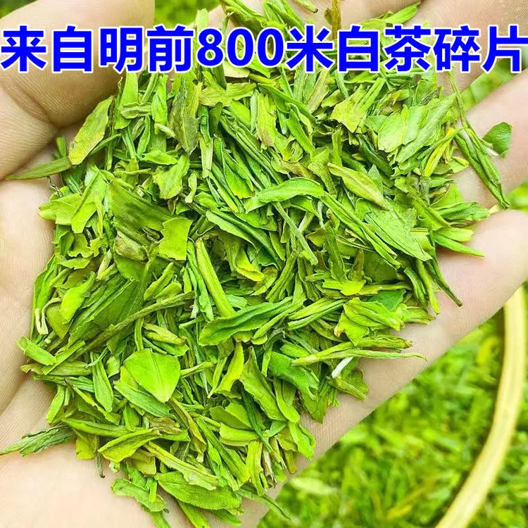 7号2024新茶明前白茶碎片头采茶片鲜香高山绿茶