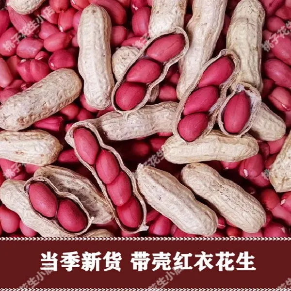 当季新鲜带壳东北四粒红带壳红皮花生3斤 5斤生花生食用