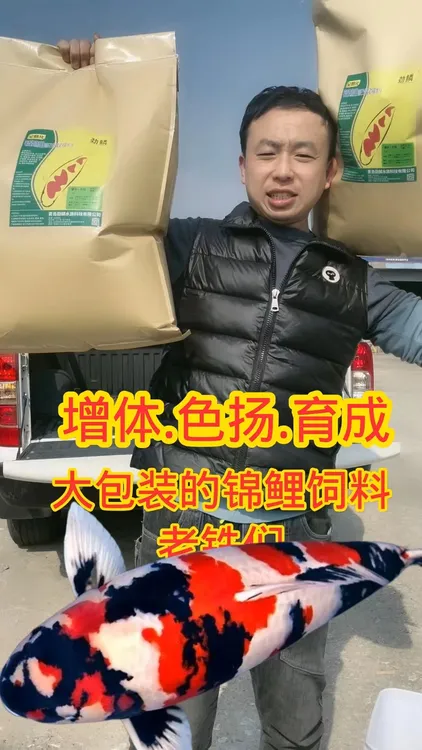 劲鳞锦鲤20斤大包装三合一二合一育成增体色扬鱼粮