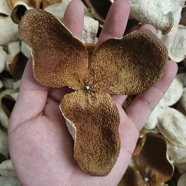 2023天马正宗新会陈皮特产纯干仓自然生晒1年大红二红柑皮泡茶