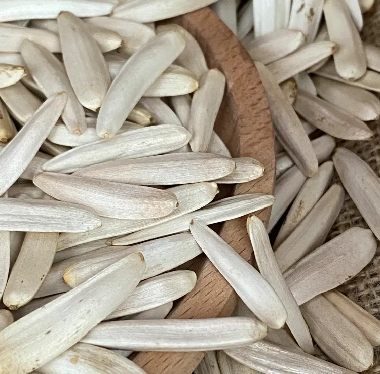 新疆牙签瓜子马牙瓜子葵花籽瓜子营养天然阿克苏产品健康精选美味