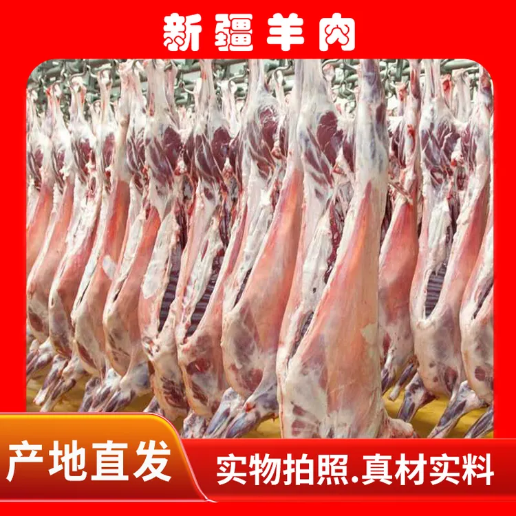 肉质鲜嫩,美味可口新疆羊娃子肉正宗本地直发1kg75元正宗羊肉