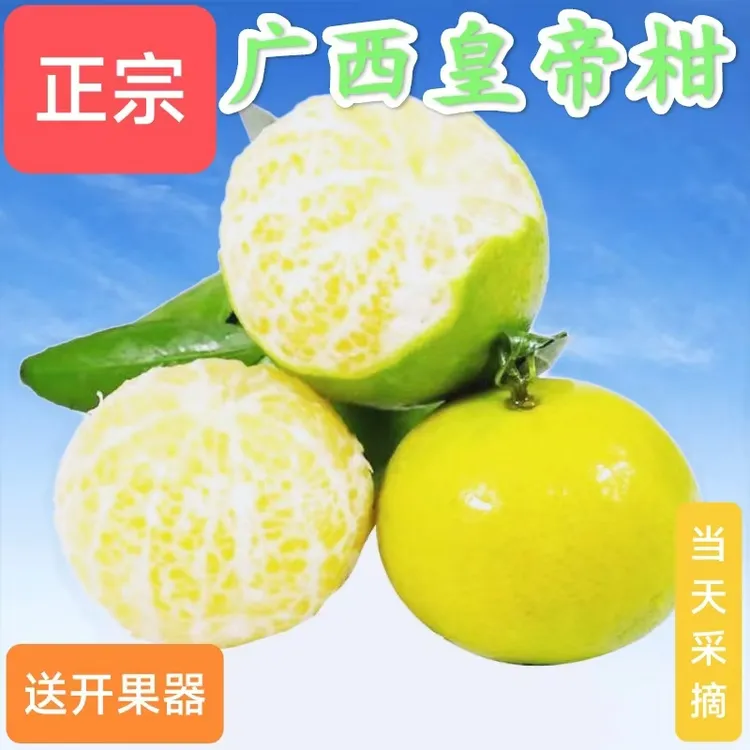 正宗广西武鸣皇帝柑当季新鲜水果蜜桔柑橘皮薄肉厚汁水丰富