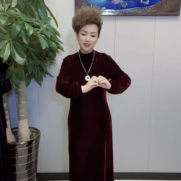 699高档丝绒连衣裙立领长袖灯笼袖显瘦气质百搭秋冬半高领弹力大