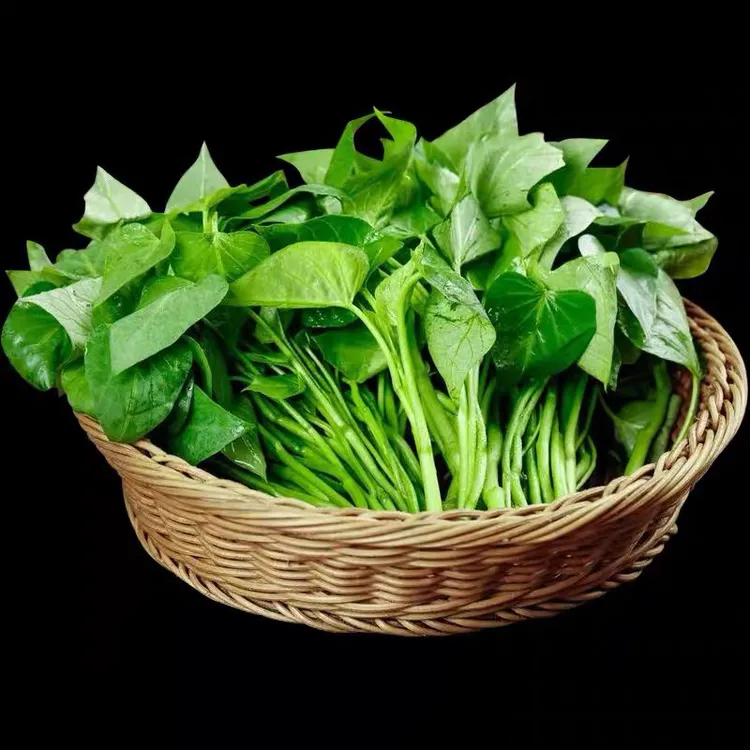四川农家自种包赔尖包赔叶新鲜脆嫩地瓜叶食用秋冬季蔬菜现摘现发