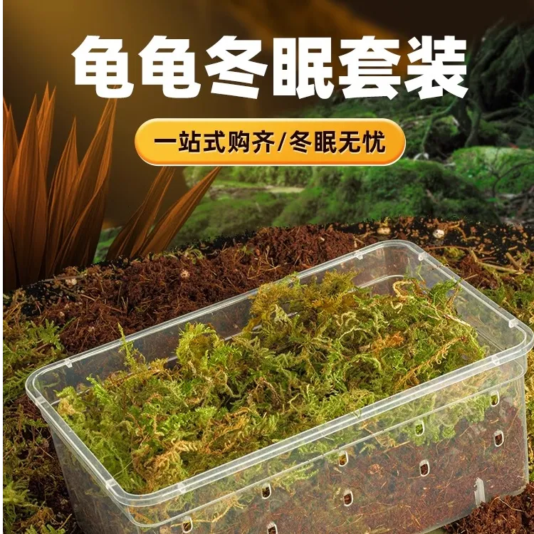 乌龟冬眠爬宠饲养盒寄居蟹仓鼠守宫过冬椰土苔藓保温恒温箱乌龟缸