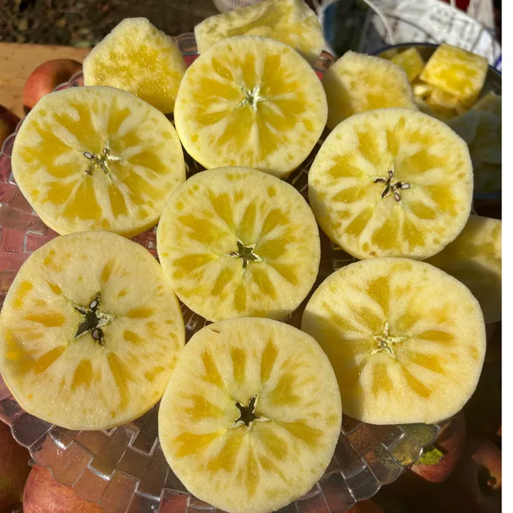 阿欢【京东快递】大凉山冰糖心丑苹果新鲜当季水果脆甜4.5/8斤