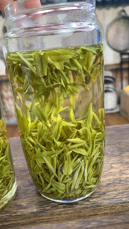 新茶3号黄山茶叶土种毛峰明前高山口粮茶花香栗香耐泡适合老茶友