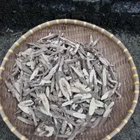 w 高山 农家 野生黄芪 