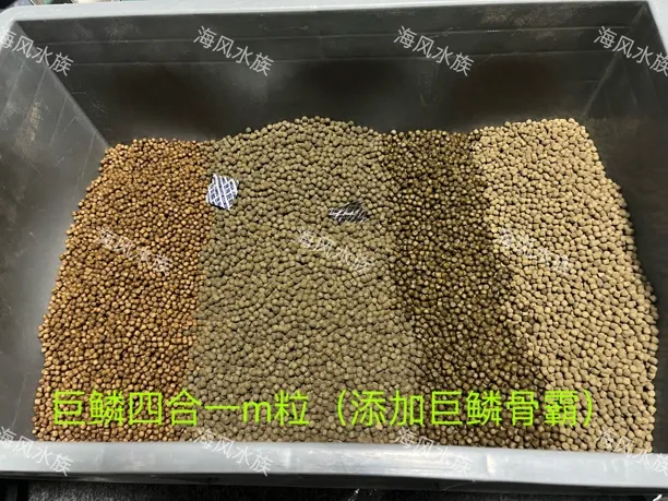 海风专属定制巨鳞育成 四合一三合一全能锦鲤饲料锦鲤鱼养鱼系列